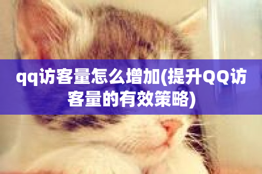 qq访客量怎么增加(提升QQ访客量的有效策略)-第1张图片-ZBLOG