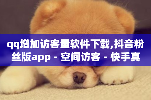 qq增加访客量软件下载,抖音粉丝版app - 空间访客 - 快手真人粉丝平台 永不掉粉-第1张图片-ZBLOG