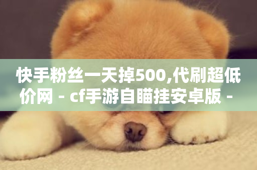 快手粉丝一天掉500,代刷超低价网 - cf手游自瞄挂安卓版 - 178云网络售卡平台-第1张图片-ZBLOG