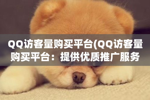 QQ访客量购买平台(QQ访客量购买平台：提供优质推广服务)-第1张图片-ZBLOG