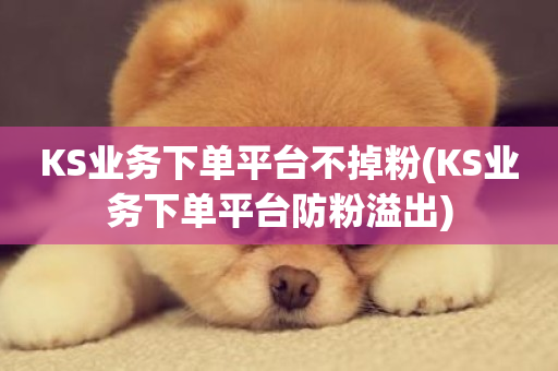 KS业务下单平台不掉粉(KS业务下单平台防粉溢出)-第1张图片-ZBLOG