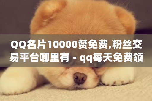 QQ名片10000赞免费,粉丝交易平台哪里有 - qq每天免费领10000赞 - 风雨科技24小时自助下单-第1张图片-ZBLOG