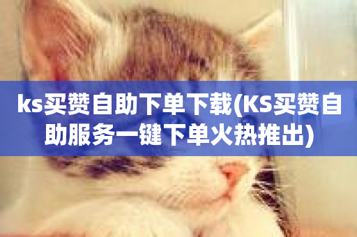 ks买赞自助下单下载(KS买赞自助服务一键下单火热推出)-第1张图片-ZBLOG