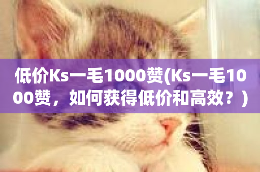 低价Ks一毛1000赞(Ks一毛1000赞，如何获得低价和高效？)-第1张图片-ZBLOG