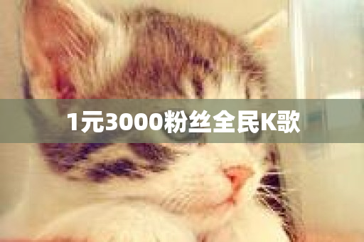 1元3000粉丝全民K歌