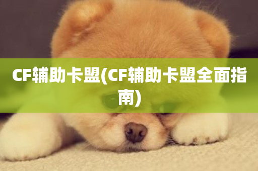 CF辅助卡盟(CF辅助卡盟全面指南)-第1张图片-ZBLOG