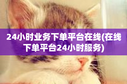 24小时业务下单平台在线(在线下单平台24小时服务)-第1张图片-ZBLOG