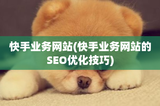 快手业务网站(快手业务网站的SEO优化技巧)-第1张图片-ZBLOG