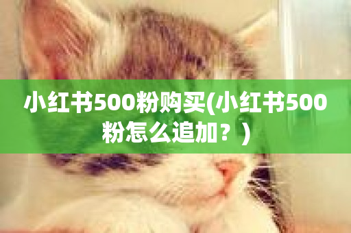 小红书500粉购买(小红书500粉怎么追加？)-第1张图片-ZBLOG