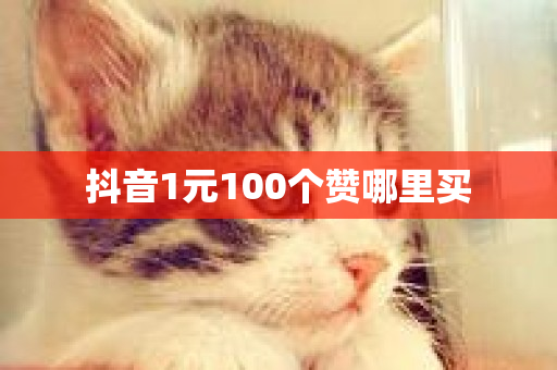 抖音1元100个赞哪里买-第1张图片-ZBLOG