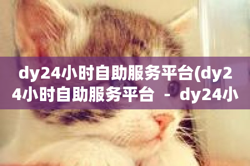 dy24小时自助服务平台(dy24小时自助服务平台  -  dy24小时服务平台)-第1张图片-ZBLOG