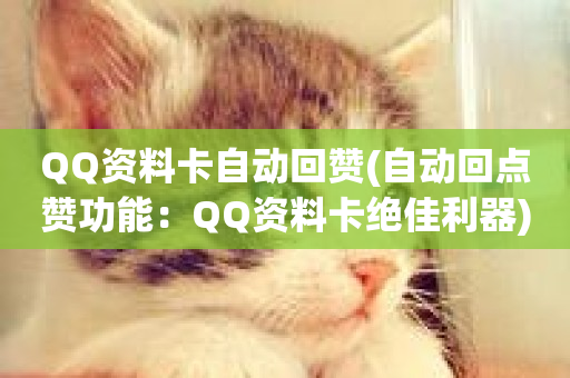 QQ资料卡自动回赞(自动回点赞功能：QQ资料卡绝佳利器)-第1张图片-ZBLOG