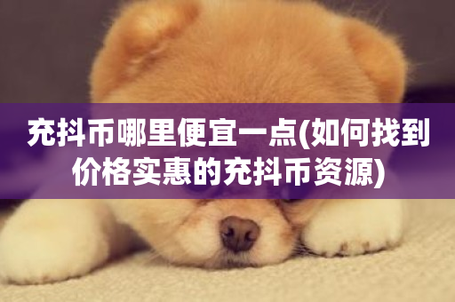 充抖币哪里便宜一点(如何找到价格实惠的充抖币资源)-第1张图片-ZBLOG