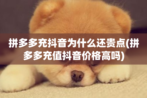 拼多多充抖音为什么还贵点(拼多多充值抖音价格高吗)-第1张图片-ZBLOG