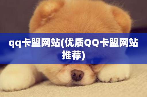 qq卡盟网站(优质QQ卡盟网站推荐)-第1张图片-ZBLOG