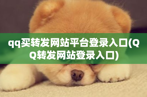 qq买转发网站平台登录入口(QQ转发网站登录入口)-第1张图片-ZBLOG