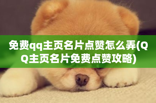 免费qq主页名片点赞怎么弄(QQ主页名片免费点赞攻略)-第1张图片-ZBLOG