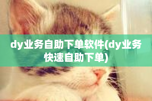 dy业务自助下单软件(dy业务快速自助下单)-第1张图片-ZBLOG