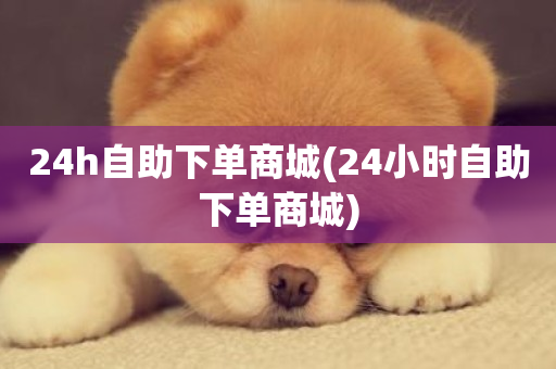 24h自助下单商城(24小时自助下单商城)-第1张图片-ZBLOG