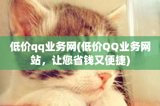 低价qq业务网(低价QQ业务网站，让您省钱又便捷)-第1张图片-ZBLOG