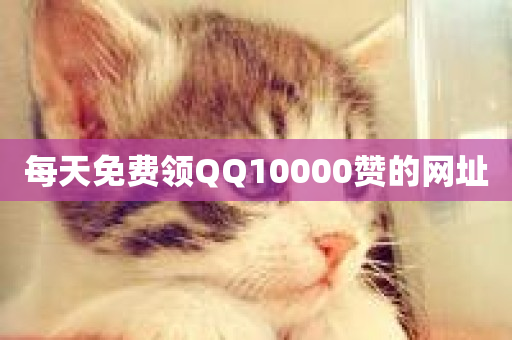 每天免费领QQ10000赞的网址