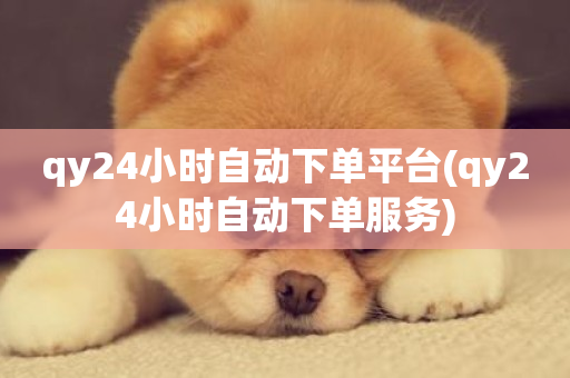 qy24小时自动下单平台(qy24小时自动下单服务)-第1张图片-ZBLOG