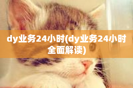 dy业务24小时(dy业务24小时全面解读)-第1张图片-ZBLOG