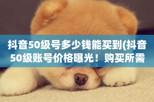 抖音50级号多少钱能买到(抖音50级账号价格曝光！购买所需费用)