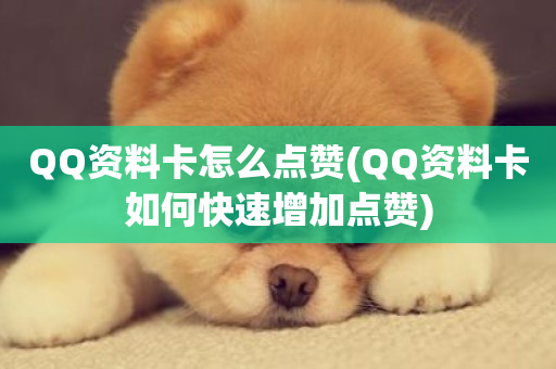 QQ资料卡怎么点赞(QQ资料卡如何快速增加点赞)-第1张图片-ZBLOG