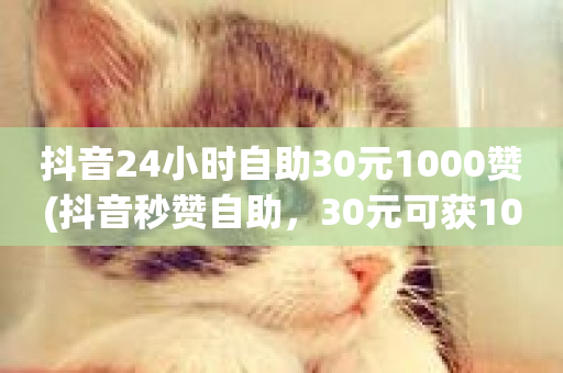 抖音24小时自助30元1000赞(抖音秒赞自助，30元可获1000赞)-第1张图片-ZBLOG