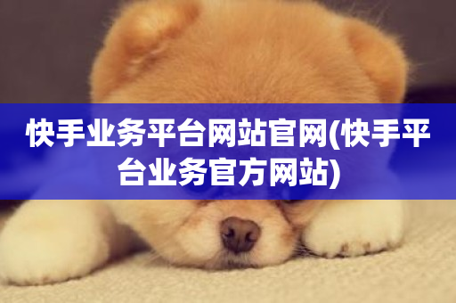 快手业务平台网站官网(快手平台业务官方网站)