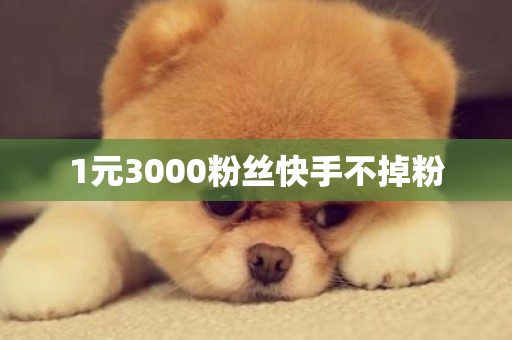 1元3000粉丝快手不掉粉