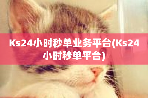 Ks24小时秒单业务平台(Ks24小时秒单平台)-第1张图片-ZBLOG