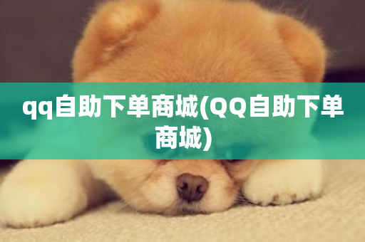 qq自助下单商城(QQ自助下单商城)