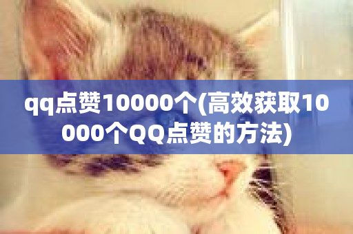 qq点赞10000个(高效获取10000个QQ点赞的方法)