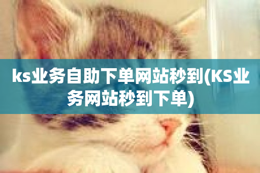 ks业务自助下单网站秒到(KS业务网站秒到下单)-第1张图片-ZBLOG