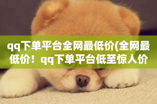 qq下单平台全网最低价(全网最低价！qq下单平台低至惊人价！)