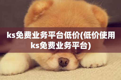 ks免费业务平台低价(低价使用ks免费业务平台)