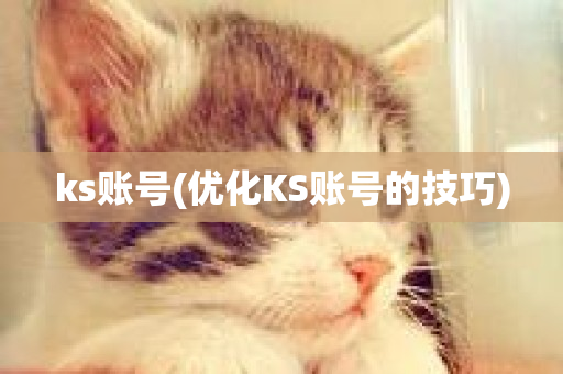 ks账号(优化KS账号的技巧)-第1张图片-ZBLOG