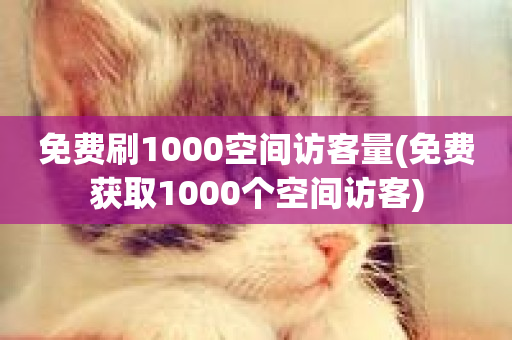 免费刷1000空间访客量(免费获取1000个空间访客)