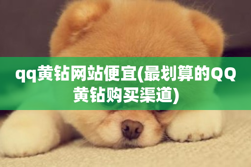 qq黄钻网站便宜(最划算的QQ黄钻购买渠道)-第1张图片-ZBLOG