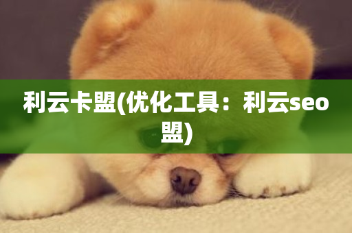 利云卡盟(优化工具：利云seo盟)-第1张图片-ZBLOG