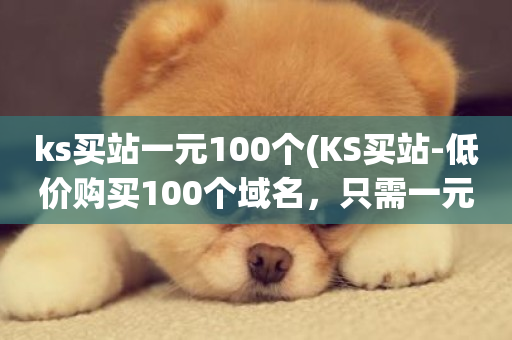 ks买站一元100个(KS买站-低价购买100个域名，只需一元)-第1张图片-ZBLOG