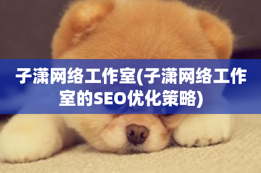 子潇网络工作室(子潇网络工作室的SEO优化策略)-第1张图片-ZBLOG