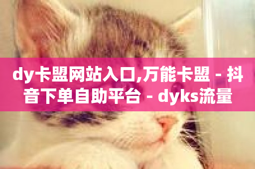 dy卡盟网站入口,万能卡盟 - 抖音下单自助平台 - dyks流量-第1张图片-ZBLOG