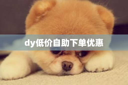 dy低价自助下单优惠-第1张图片-ZBLOG