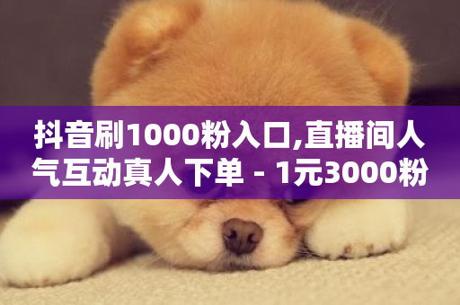 抖音刷1000粉入口,直播间人气互动真人下单 - 1元3000粉丝不掉粉丝 - 24小时自助下单商城下载-第1张图片-ZBLOG