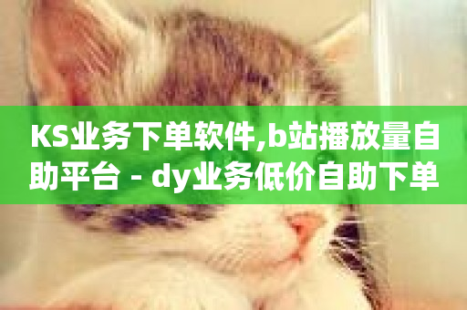 KS业务下单软件,b站播放量自助平台 - dy业务低价自助下单转发 - 快手涨赞1元100个赞闪电-第1张图片-ZBLOG