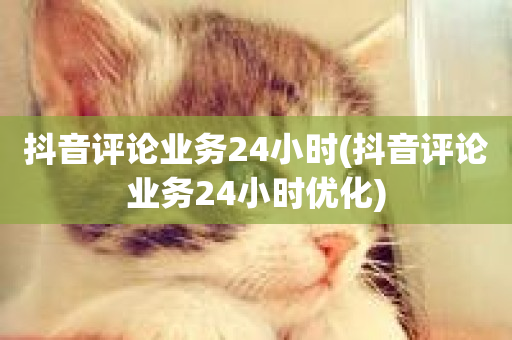 抖音评论业务24小时(抖音评论业务24小时优化)-第1张图片-ZBLOG