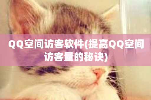 QQ空间访客软件(提高QQ空间访客量的秘诀)-第1张图片-ZBLOG